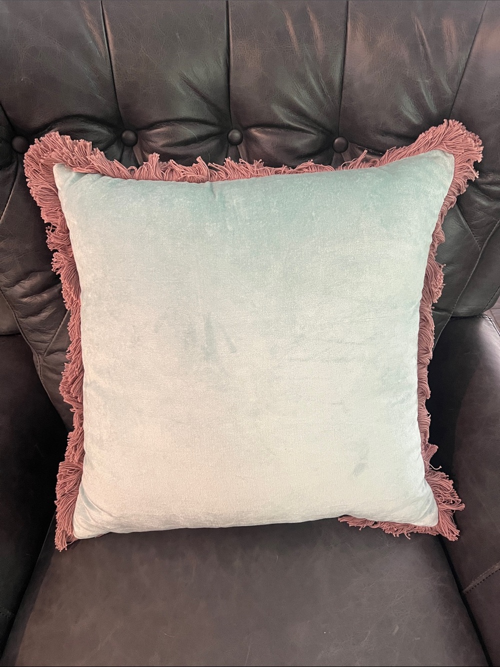 Threshold Decorate Tiffany Blue Fringed Pillow
